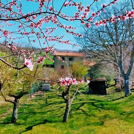 B&B Luna E Stelle Premilcuore Exterior foto
