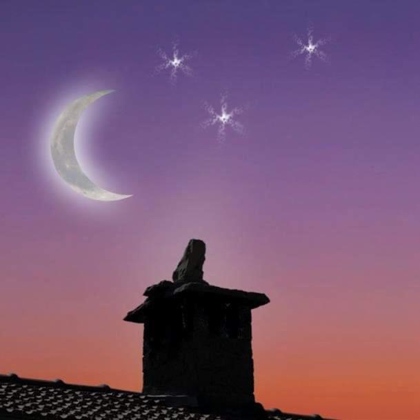 B&B Luna E Stelle Premilcuore Exterior foto